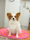 DSCF9165[1]_thumb.png